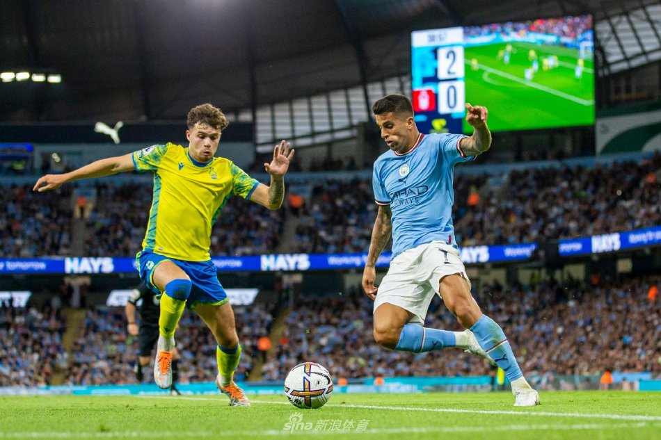 我们发现 我们发现